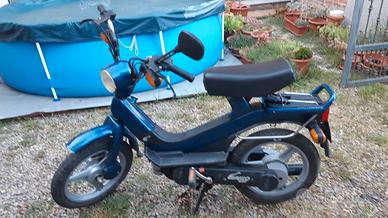 piaggio grillo