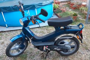 piaggio grillo