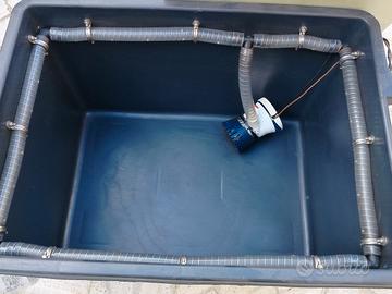 Vasca del vivo pesca