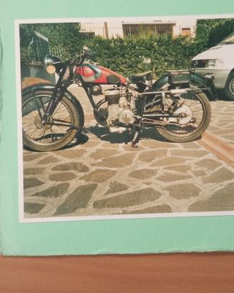 Gilera Altro modello - 1946