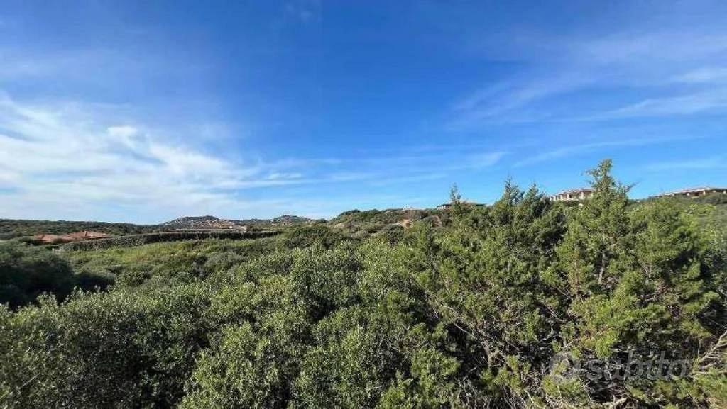 Immobile in asta di 3033 m² a Santa Teresa Gallura - Vista 4