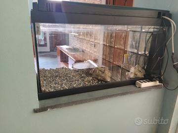 Acquario 80 litri