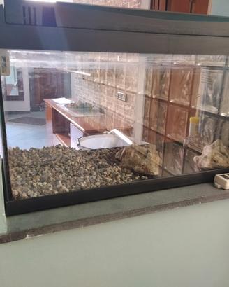 Acquario 80 litri