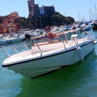 Barca capelli 15 evinrude e-tec