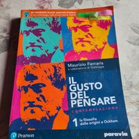 II gusto del pensare

Volume 1

978883953