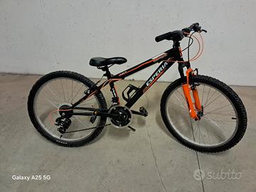 MTB junior Esperia Enjoy ruote  24pollici