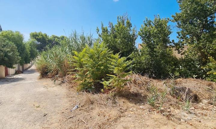 Triscina terreno lato mare di 600 mq c.ca