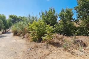 Triscina terreno lato mare di 600 mq c.ca