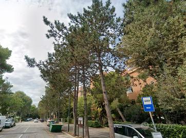 Splendido TRICAMERE Ampio - Grado