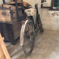 Bici da donna freni a bacchetta