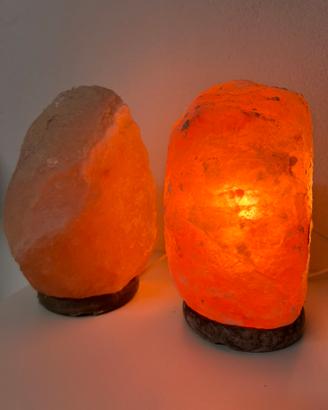 Lampada di Sale Rosa dell'Himalaya (2 pezzi)