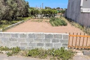 Terreno agricolo con pozzo artesiano