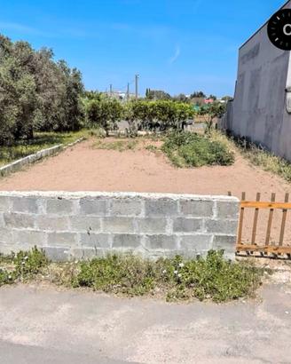 Terreno agricolo con pozzo artesiano