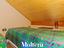 Immagine 19