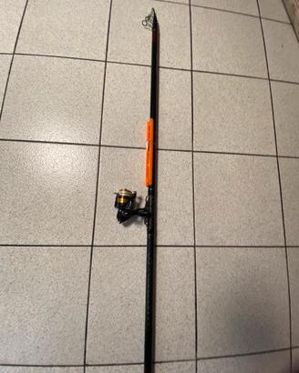 Canna bolognese daiwa 7 metri