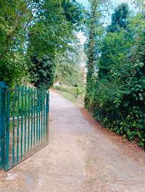 Terreno agricolo con chalet