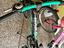 Immagine 3