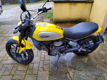 Ducati Scrambler Icon 803