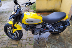 Ducati Scrambler Icon 803