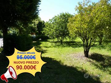 Terreno Edificabile - Bisuschio