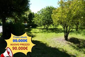 Terreno Edificabile - Bisuschio