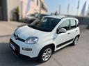 fiat-panda-1-0-firefly-s-s-hybrid-city-life-ok-n