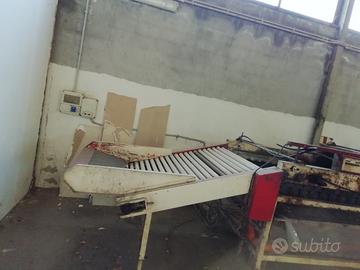 Capannone con Linea lavorazione agrumi