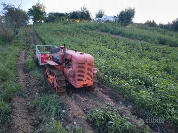 fiat 25c 5 marce