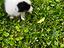 Immagine 4