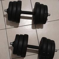 Set di due manubri regolabili da 12,5 kg
