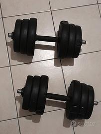 Set di due manubri regolabili da 12,5 kg