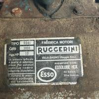 MOTOZAPPA RUGGERINI RD81