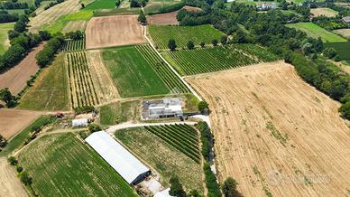 ATTIVITÀ A CALVAGESE DELLA RIVIERA