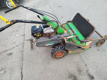 trincia lampacrescia 