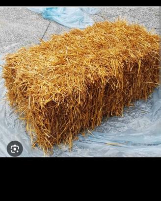 Ballette di paglia
