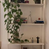 Struttura libreria ikea ELVARLI