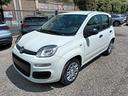 fiat-panda-1-0-firefly-s-s-hybrid-km0