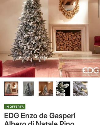 Albero Enzo De Gasperi