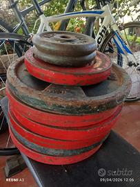 Pesi ghisa lineaflex e domyos