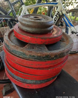 Pesi ghisa lineaflex e domyos