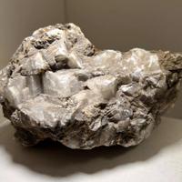 Minerale cristalli gesso grigio matrice collezione