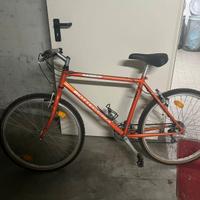 BICI BOTTECCHIA MOUNTAIN BIKE