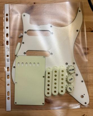 Fender stratocaster accessori