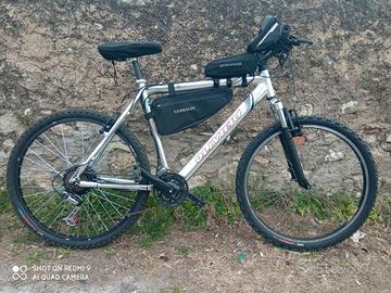 Bici elettrica pedalata assistita MTB speedZ