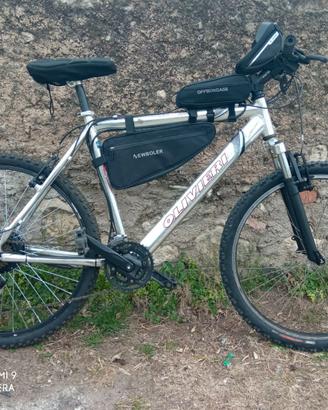 Bici elettrica pedalata assistita MTB speedZ