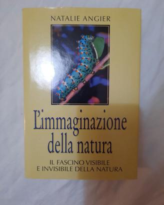 L'immaginazione della natura