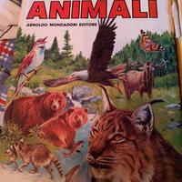 libro sulla natura per bambini 