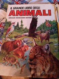 libro sulla natura per bambini 