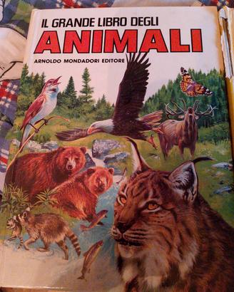 libro sulla natura per bambini 