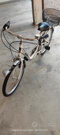 bici da donna gomme 24